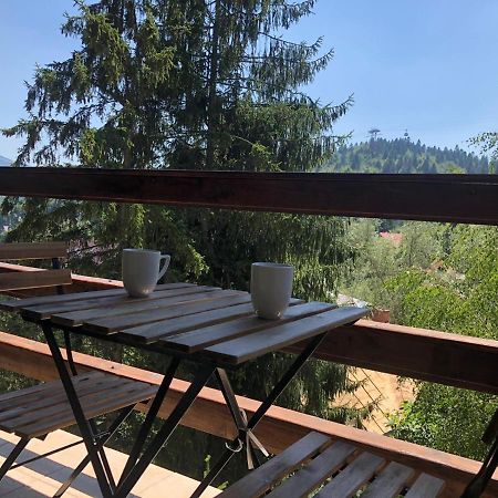 Forest Apartments By Olala Homes Sinaia Exteriör bild