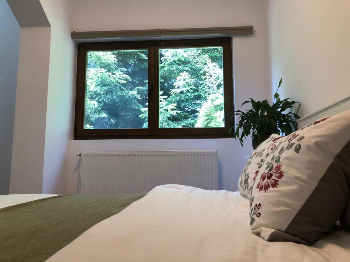 Forest Apartments By Olala Homes Sinaia Exteriör bild