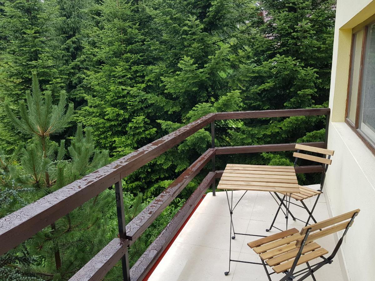 Forest Apartments By Olala Homes Sinaia Exteriör bild